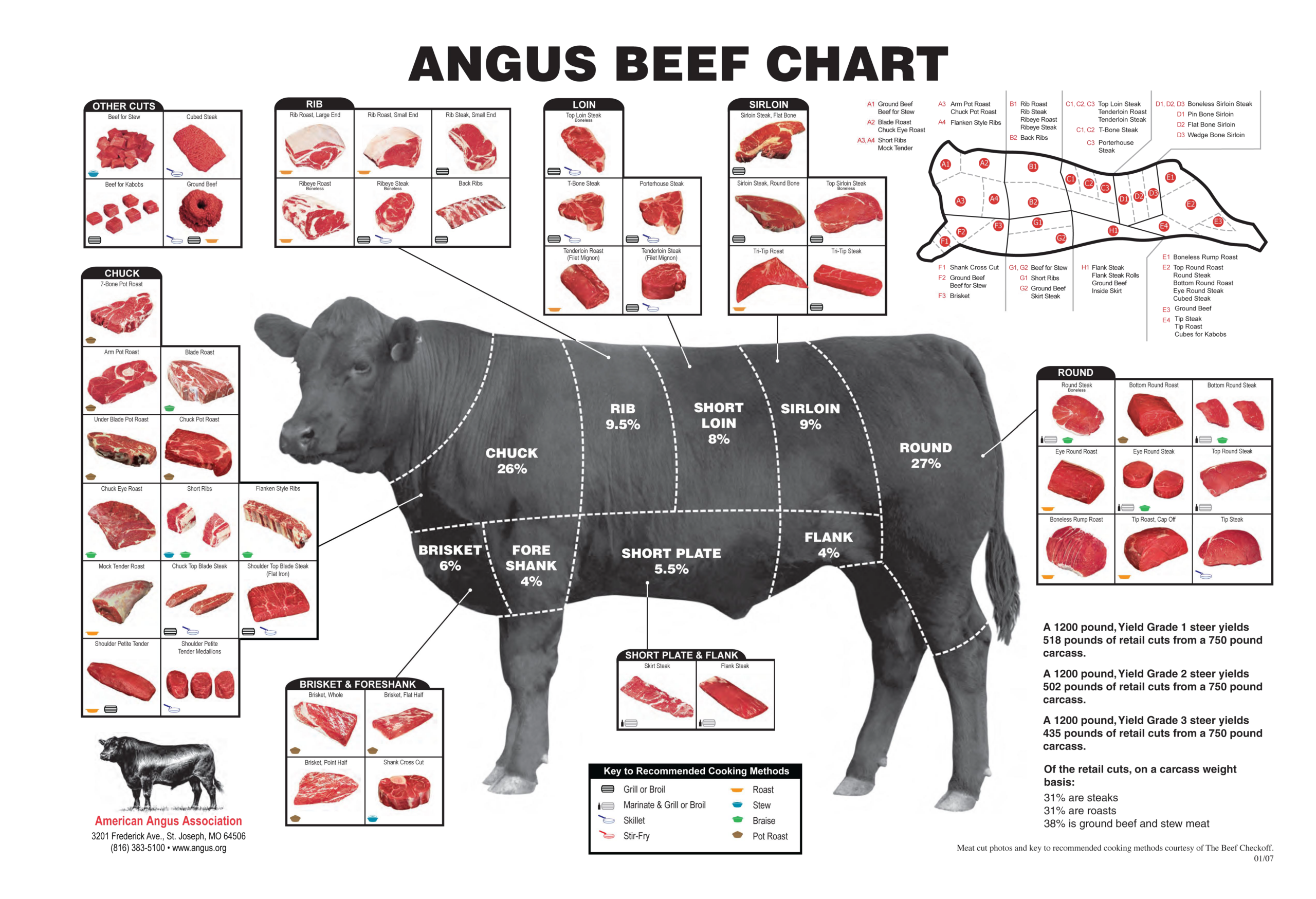 Diagram showing cuts of Angus beef on a cow with labeled sections.