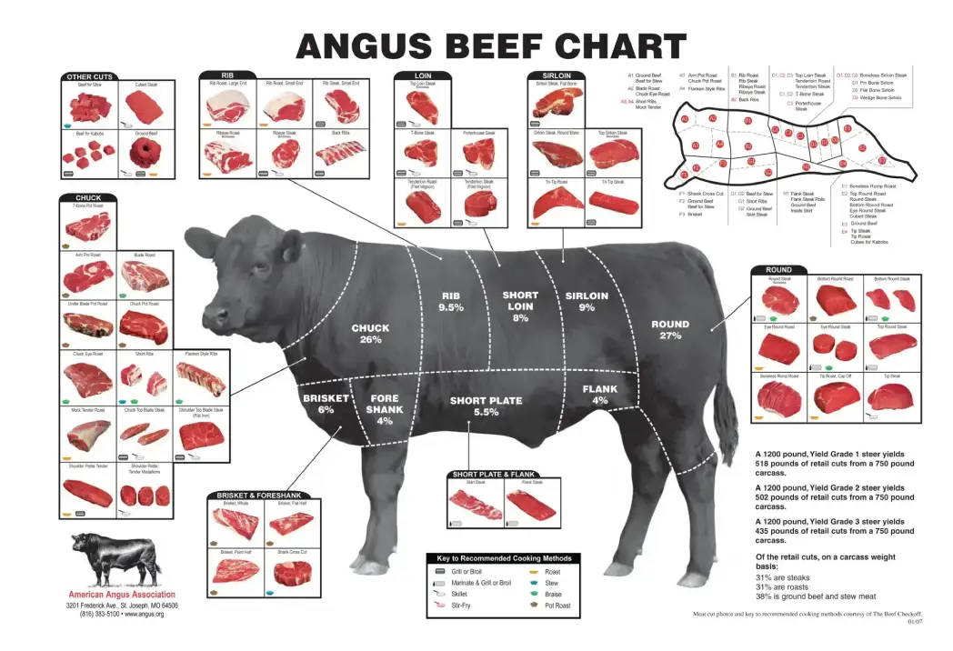 Diagram showing cuts of Angus beef on a cow with labeled sections.